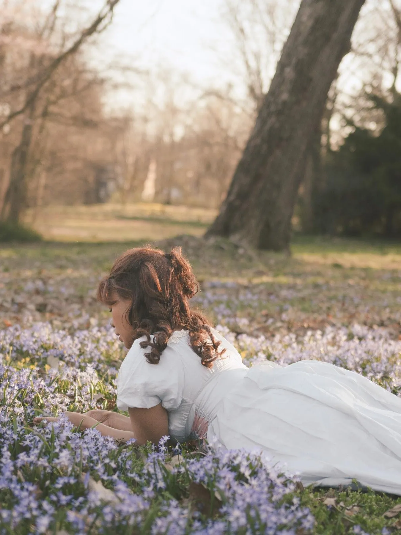 Cinderella's Evening Dress